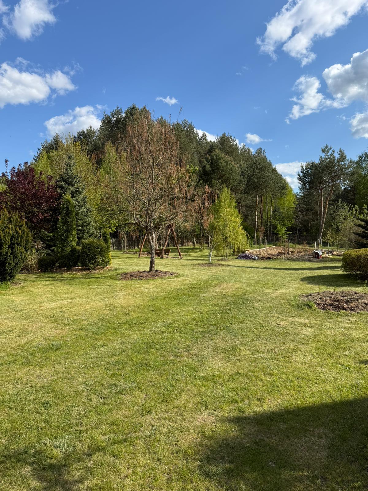 PHOTO-2025-05-30-15-03-46 2